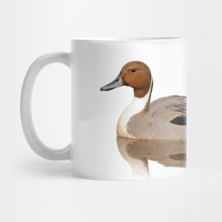 Reflections of a Northern Pintail Duck Mug